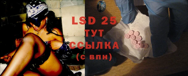 spice Пересвет