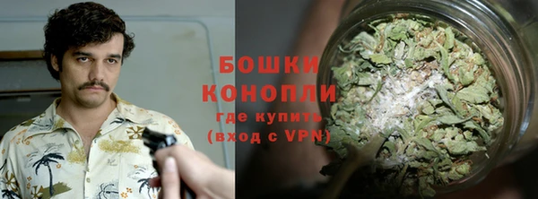 соль ск Богданович