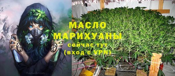 соль ск Богданович