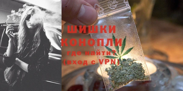ГАЛЛЮЦИНОГЕННЫЕ ГРИБЫ Переславль-Залесский