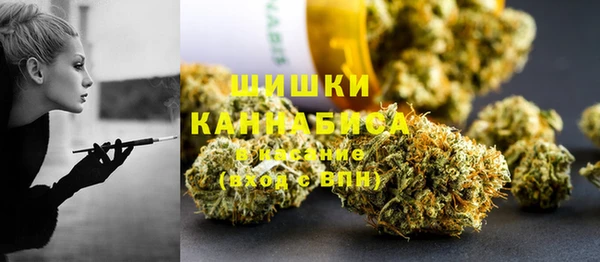 соль ск Богданович