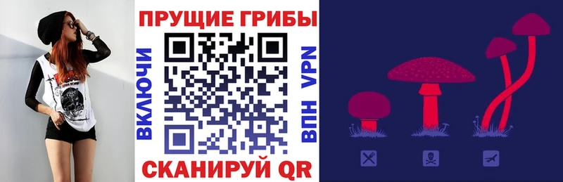 Галлюциногенные грибы Psilocybine cubensis  Рязань 